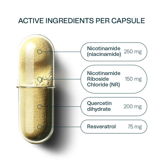 Synergie - NRgize+ (NAD+Supercharger)